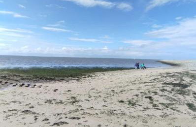 Ferienwohnung Frisia - Photo 22