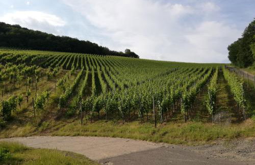 Ferienwohnung Landskrone - Foto 24