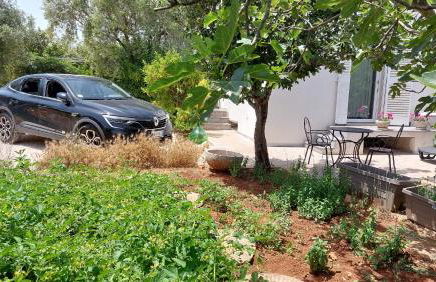 All'ombra dell'ulivo - Foto 4