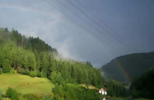 Gästehaus Brigitte Schoch - Photo 7