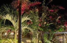 Muriú Beach Flat - Foto 6