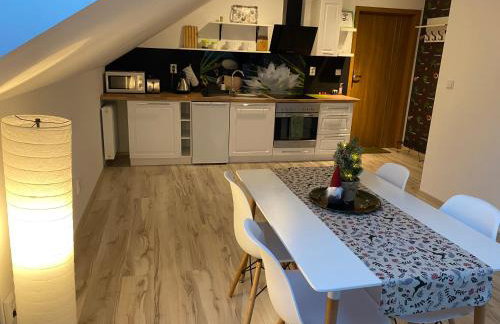 Apartamenty - Pod Wierzbami - Foto 1