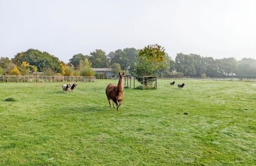 The Quail Cabin - Foto 26