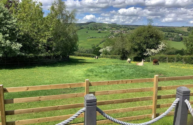 The Shepherds Hut at Hafoty Boeth - Foto 32
