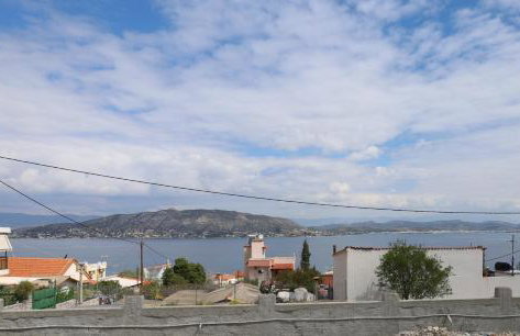 GOLDEN MOON - Foto 7