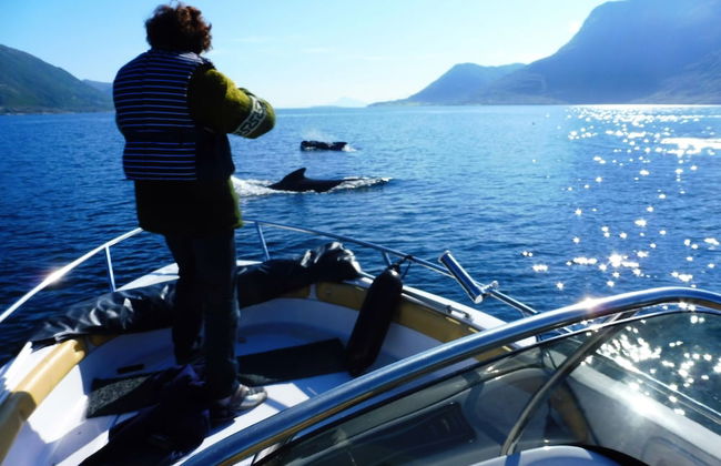 Fiskesenter Birkeland - Photo 36