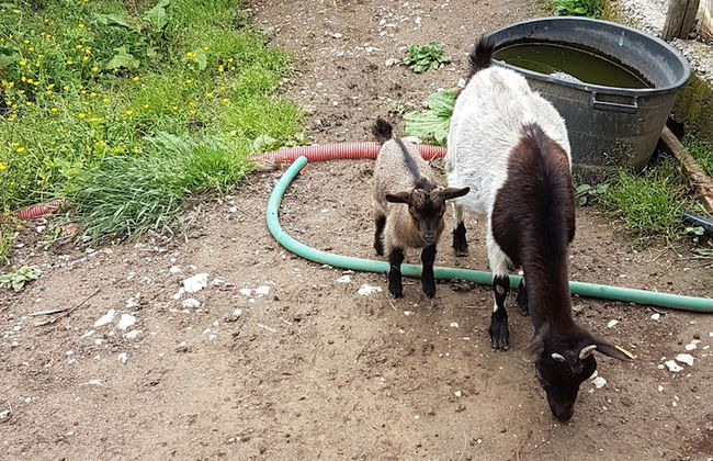 Agriturismo Cisogna - Foto 18