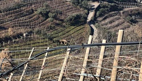 Agriturismo la Preara - Foto 4