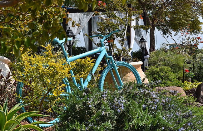 Mul Kineret Suites - Photo 38