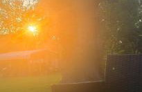 Alvin with all serenity and bliss and yet close dearly - Foto 22