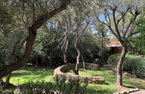 Il nido di Luca a Porto Rotondo - Photo 21