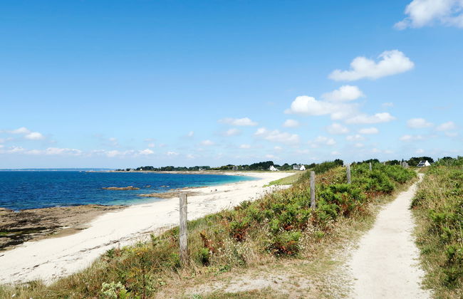 Ty Coat Pin - Foto 24