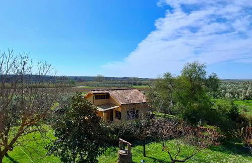 Villa Oliva - Foto 3