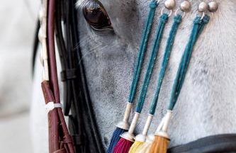 La Casa del Gelso-house with heated Pool and BBQ - Foto 33