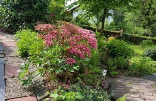 Apartment in Zendscheid mit Offenem Kamin by Interhome - Foto 31