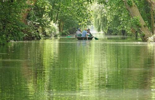 La chaume du marais poitevin avec barque green venice with boat - Foto 23