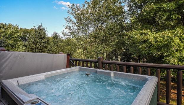 Servizio della struttura