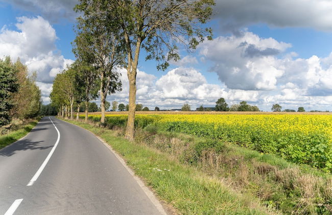 Peaceful Villa With Pond - Photo 33