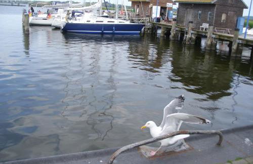 Ferienhaus "Sommerbrise" - Foto 13