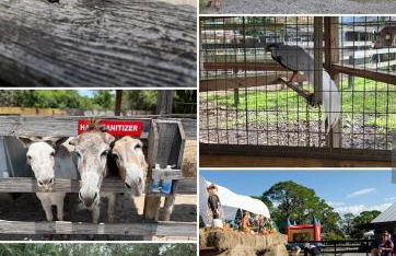 Beach Cottage - Foto 32