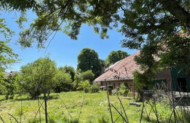 Deichgraf Emden - Foto 10