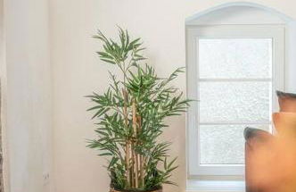 Residenz im Denkmal - Bönnigheim - Foto 7