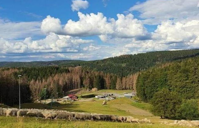 Spacious Stay Near Trails - Foto 33