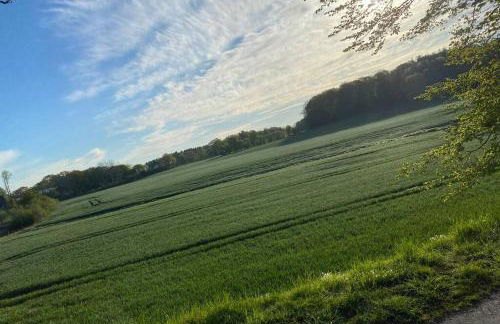 Schöne Wohnung mit Garten beim Outletcenter 5 km - Foto 49