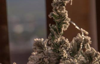 La Casetta. Feel at home. - Foto 51