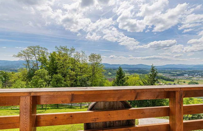 Vineyard cottage Rataj 2 - Foto 27