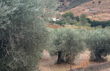 Casa da Miquinhas - Foto 24