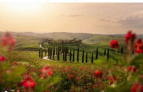 Agriturismo Baccoleno - Foto 12