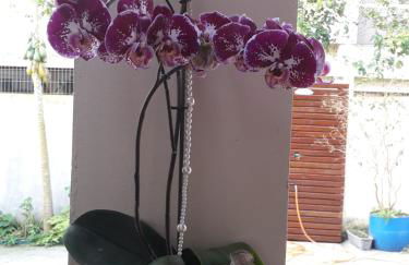 RECANTO RAVI - Foto 37