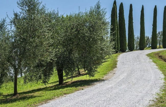 Villa Miniato Comfortable Holiday Residence - Foto 38