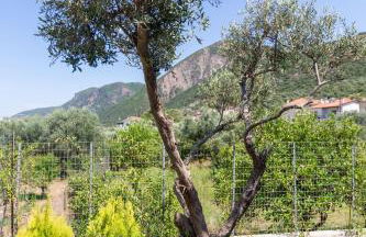 Two Olive Trees - Deluxe Apartments - Foto 25