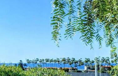 La Jolla Retreat - Foto 9