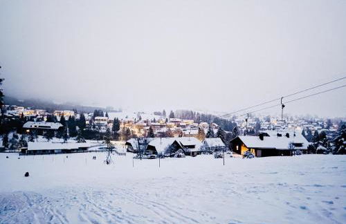 Ferienwohnungen Am Skilift - Foto 74