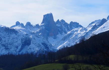 La Casina de Labra - Foto 48