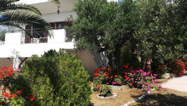 Villa Mariana - Foto 4