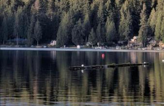 Cabin at Lake Roesiger private waterfront snohomish mt Pilchuck - Foto 13