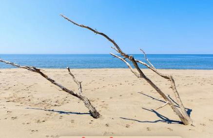 Camargue - La Saline Forézienne - Salin-de-Giraud - Foto 48