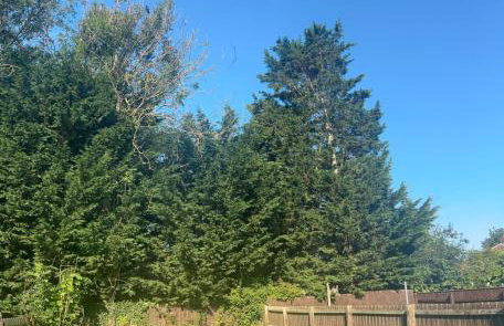 The Olive House - 4 Bedroom, Sleeps 8, Contractors Welcome - Foto 8