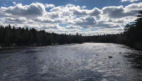 Moosehead Memories + Sandbar Cabin - Foto 2