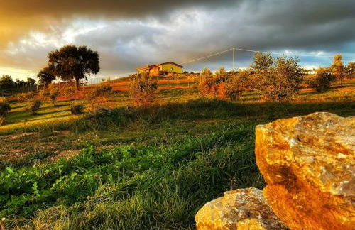 Azienda agricola Panorama - Foto 14