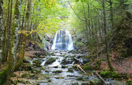 AlpenOase Schliersee - große Suite mit Sauna oder gemütliche Studio Appartements - Foto 13
