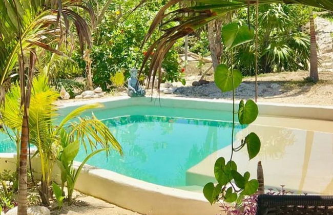 IKAL Island Garden - Adults Only - Foto 73