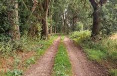 The Old Stable - Foto 6