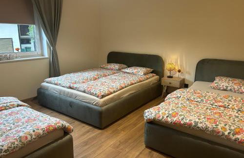 Apartament Paoli 2 - Foto 4