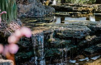 Ferienwohnung in ländlicher Idylle - Foto 10