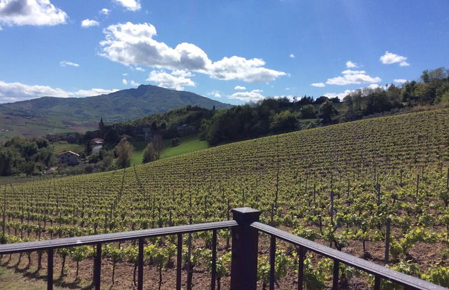 Agriturismo Terre Vineate - Foto 40